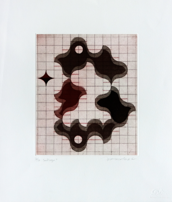 Francisco Castro Leñero