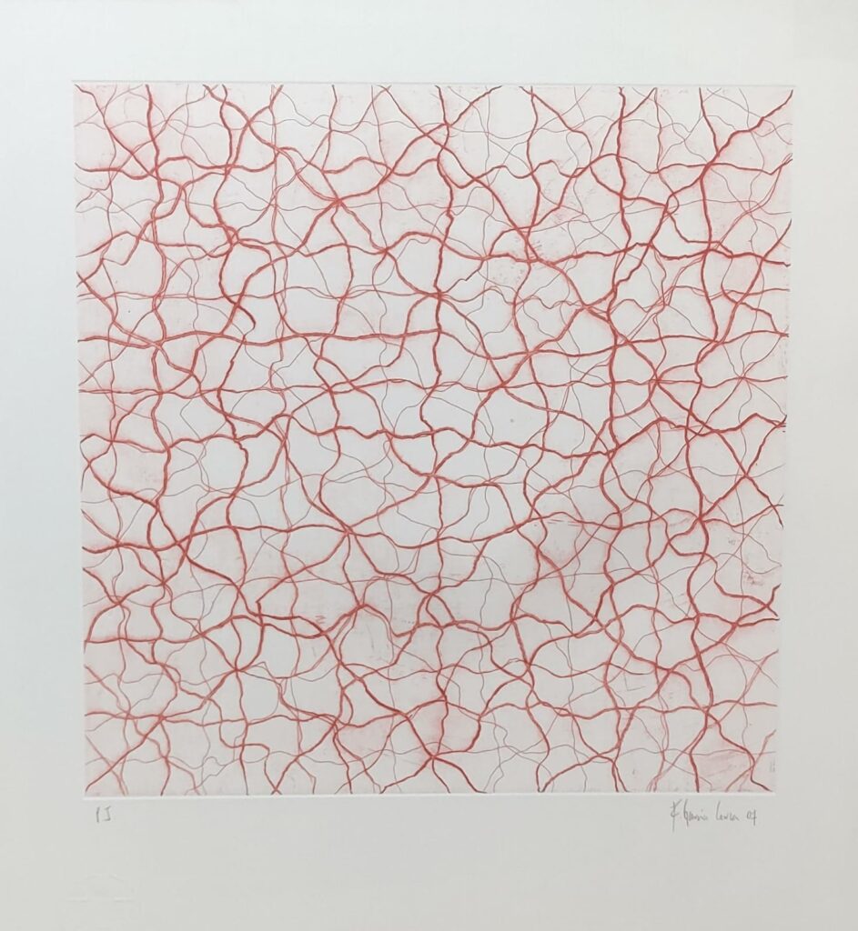 Fernando García Correa