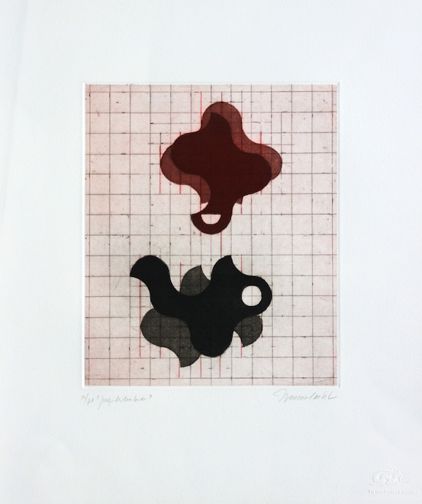 Francisco Castro Leñero